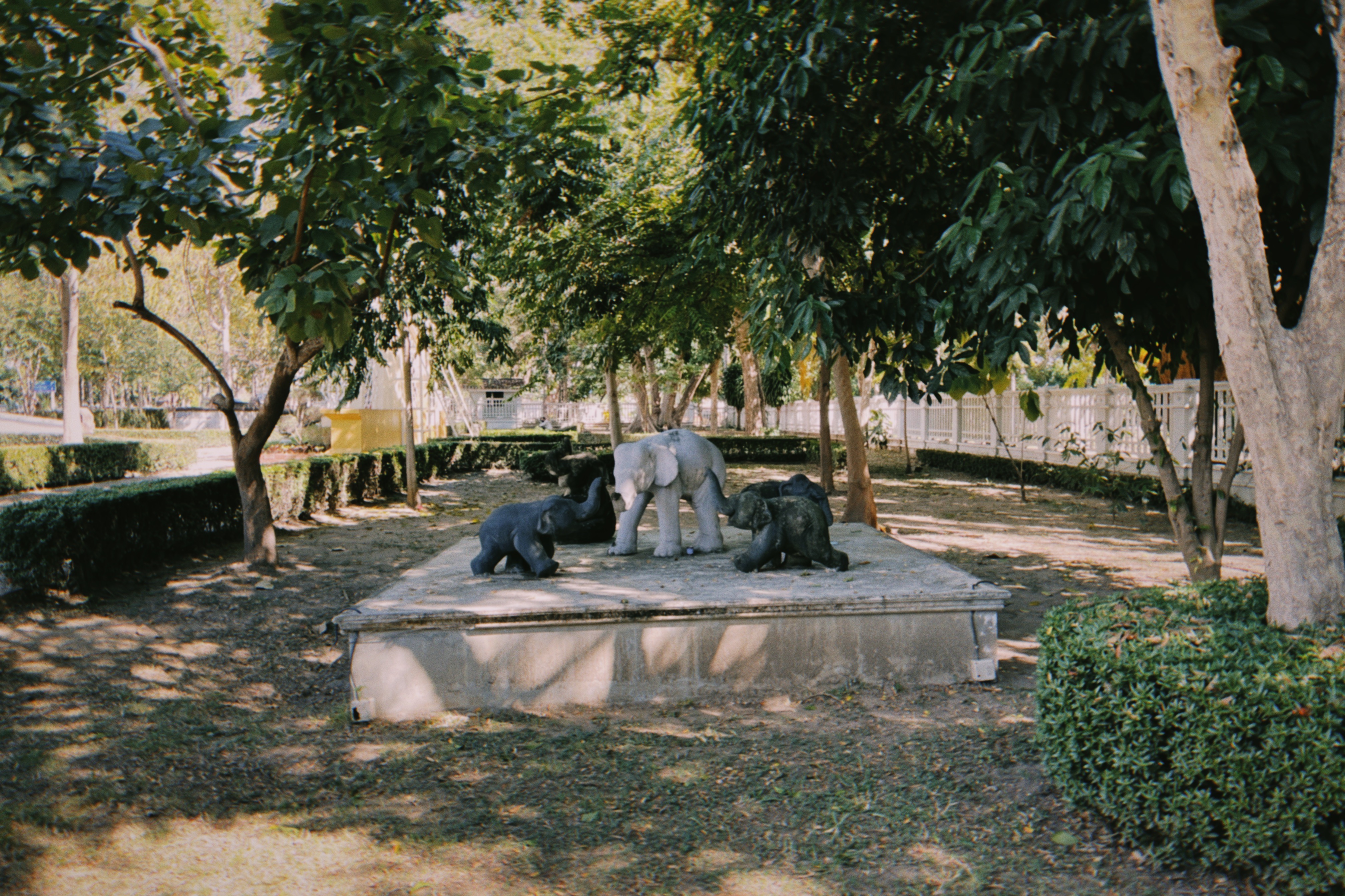 Shot with NOMO CAM FR2.