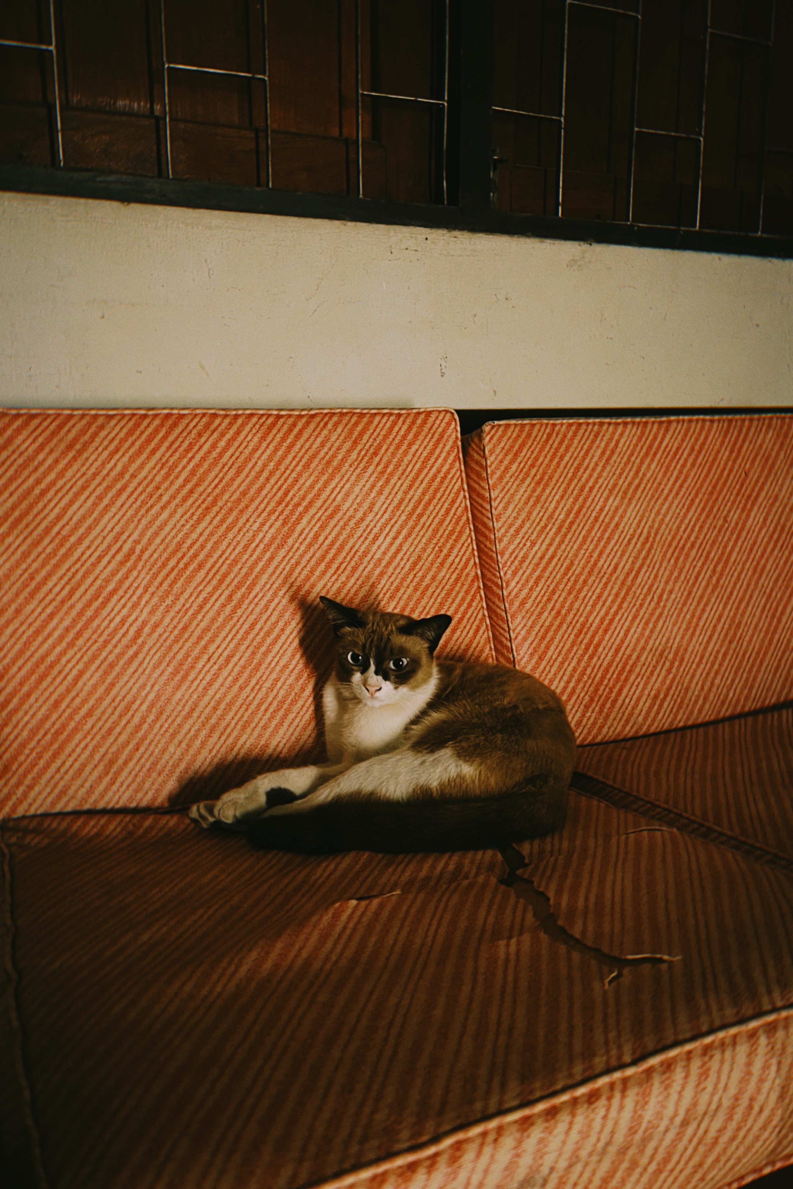 Shot with NOMO CAM FR2.