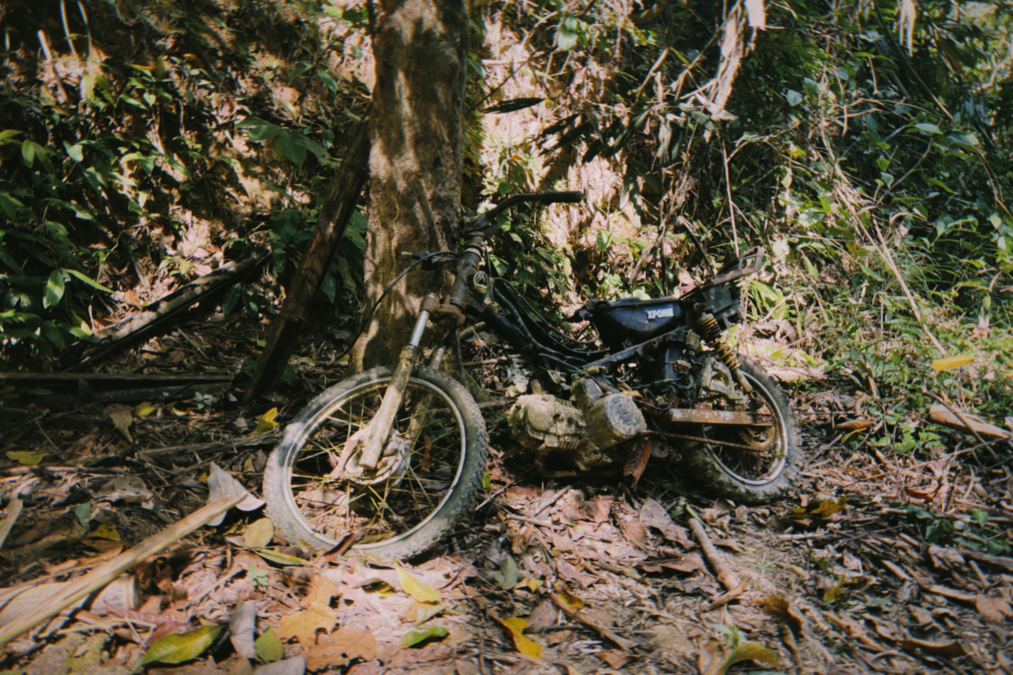 Shot with NOMO CAM FR2.