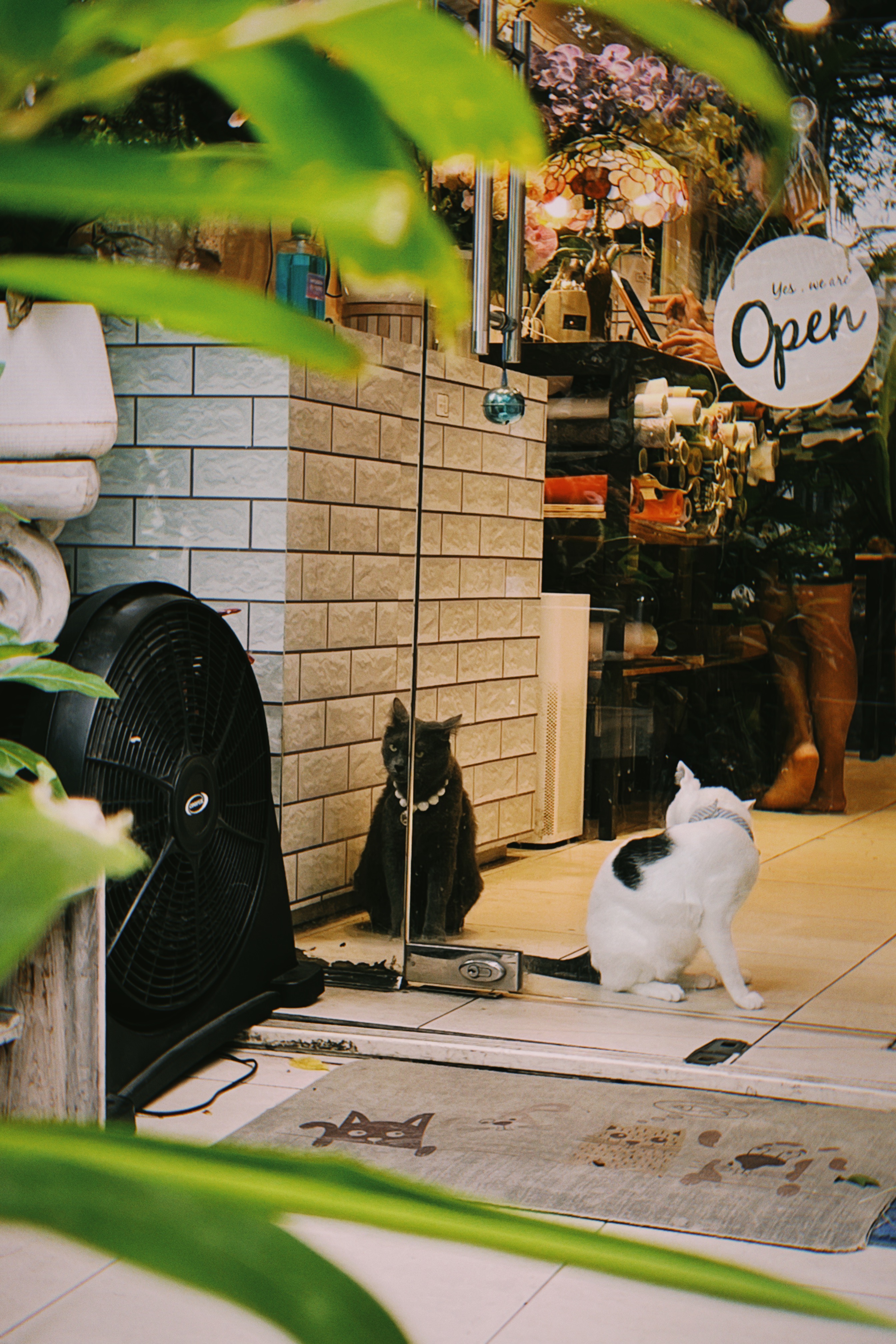 Shot with NOMO CAM FR2.